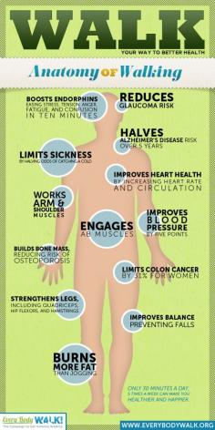 
                    
                        Anatomy of Walking . . .
                    
                