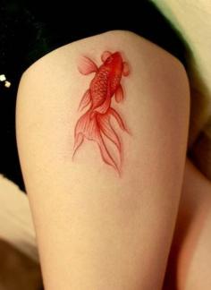 
                    
                        Sushi Tattoo!  32 fish tattoo 50 Awesome Fish Tattoo Designs
                    
                