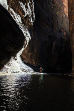 
                    
                        The Narrows, Zion National Park | Photo: Scott Cochran
                    
                