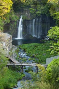 
                    
                        Shiraito Falls, Fuji-Hakone-Izu National Park, Shizuoka, Japan
                    
                