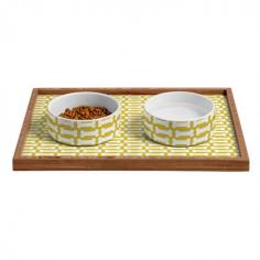 
                    
                        Allyson Johnson Chartreuse Dog Bones Pet Bowl and Tray | DENY Designs Home Accessories
                    
                