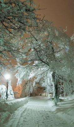 
                    
                        Park Zheleznovodsk, Stavropol Krai (North Caucasus) Russia......No...This is Chicago Ill. In March!! ;)
                    
                