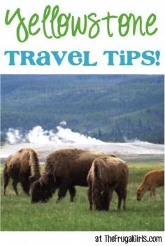 
                    
                        24 Fun Things to See and Do at Yellowstone National Park!  I've always wanted to go here! #vacation #vlgcommunities #columbusoh
                    
                