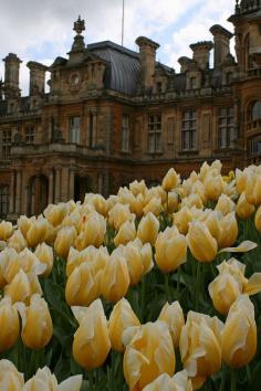 
                    
                        Waddesdon Manor gardens, England
                    
                