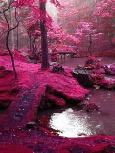 
                    
                        Moss Bridges, Ireland
                    
                