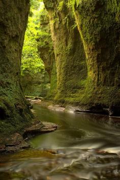 Finnich Glen, Loch Lomond, Scotland #travel