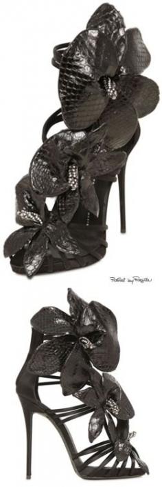 
                    
                        Regilla ⚜ G. Zanotti
                    
                