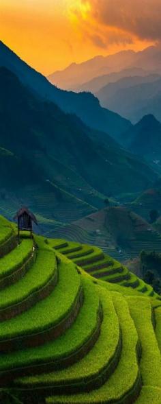 
                    
                        Mu Cang Chai, Vietnam
                    
                