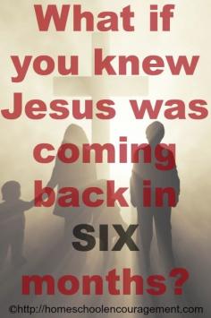 
                    
                        What if you knew that Jesus was coming back in six months? What would you change? #Homeschool Encouragement
                    
                