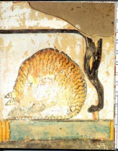 
                    
                        cat eating fish under Tawi's chair tomb of Nakhts 1400 BC
                    
                