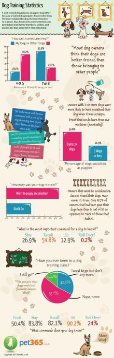 For new pet iwners-This dog training infographic shows just how important it is to socialise a dog when its young - something that first time owners dont always quite get around to. Fortunately we do learn from our mistakes with the more experienced dog owners putting a focus, and seeing the rewards, on socialising mans best friend.