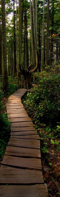 
                    
                        Olympic National Park . Washington
                    
                