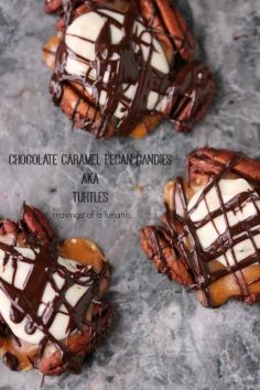 
                    
                        Chocolate Caramel Pecan Candies | Toasted pecans topped with melted caramels, then layered with two kinds of chocolates. Very similar to Turtles only they use white chocolate as well! Absolutely addictive!
                    
                