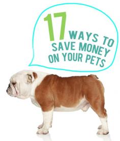 17 Ways to Save Money on Pet Expenses #pets #frugality #frugal