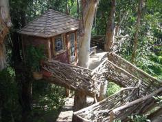 
                    
                        Beautiful Cool Tree Houses Decorating Ideas
                    
                