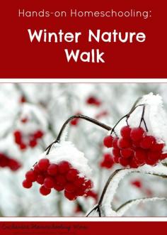 
                    
                        Avoid cabin fever this winter in your homeschool by heading outside on a winter nature walk!
                    
                