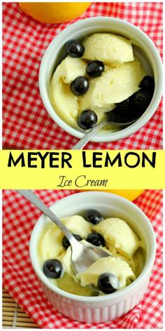 
                    
                        meyer lemon ice cream
                    
                