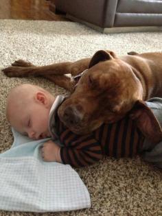 Babies make the best pillows - Your Fun Pics