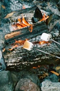 Treats by the campfire ::: ❥Summer camping.