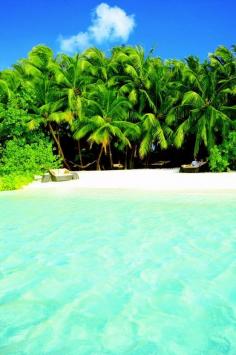Baros, Maldives,                                                      beach view #Maldives #Travel #Places #Tourists #travel #beach