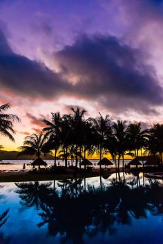 
                    
                        Reflection of palm trees into swimming pool, Four Seasons Resort Bora Bora on Motu Tehotu, Bora Bora, Society Islands, French Polynesia.
                    
                