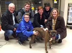 
                    
                        Heroic Boxer Who Tried To Save Her Human's Life Finally Goes Home
                    
                