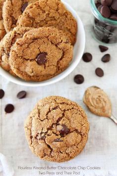 
                    
                        Flourless Almond Butter Chocolate Chip Cookies
                    
                