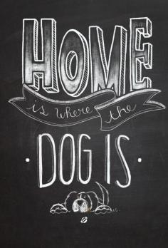 
                    
                        Home is where the dog is- Free Printable - Personal Use Only. #freeprintables #freeprintable
                    
                