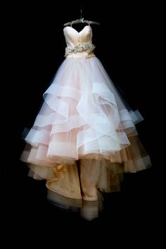 Blush Lazaro gown 
                                        