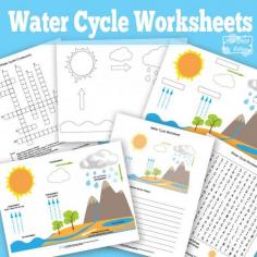 
                    
                        Water Cycle Worksheets and Diagrams
                    
                