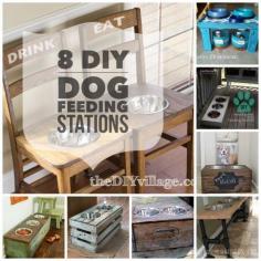 
                    
                        8 DIY Dog Feeding Stations - Eco Cool Dog Finds
                    
                