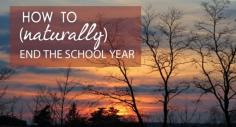 
                    
                        GREAT THOUGHTS on how to gracefully and naturally end your homeschooling year.
                    
                