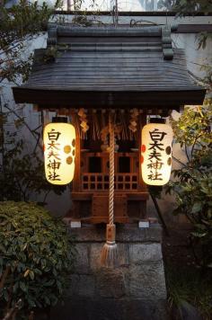 
                    
                        Japanese lanterns
                    
                