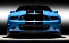 
                    
                        2013 ford shelby gt500 wallpapers - cas wallpaper hd, ford wallpaper, pictures of cars
                    
                