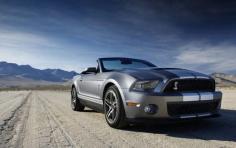 
                    
                        Ford shelby mustang gt 500 wallpaper - cas wallpaper hd, ford wallpaper, pictures of cars
                    
                