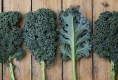 
                    
                        Thirty ways to use kale
                    
                