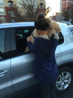 
                    
                        This girl who gave the sweetest good-bye to her main man. | 22 Times Humans Were A Dog's Best Friend
                    
                