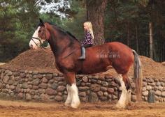 A girl and her gentle giant i i want one!!