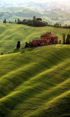 
                    
                        Tuscany, Italy. Rolling green hills and Italian cypress trees...
                    
                