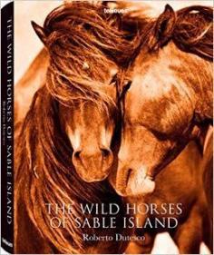 
                    
                        The Wild Horses of Sable Island is filled with breathtaking images from photographer Roberto Dutesco’s 20 years of documenting the feral horses on the small island off the coast of Nova Scotia, amazon.com
                    
                