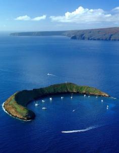 Molokini Crater Maui. Hawaii. Molokini is the stuff of legends in the diving community. The crescent-shaped rock, which sits about three miles from the South Maui coast, is the rim of a volcanic crater. The shallow waters cradled within are a hospitable spot for coral and a calling card for more than 250 fish species. For an iconic Hawaiian dive, this is the place.