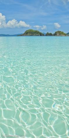 
                    
                        US Virgin Islands National Park, Trunk Bay, St John.
                    
                