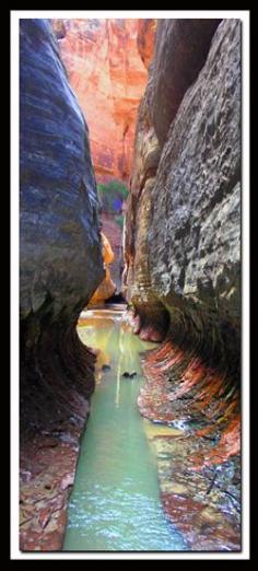 
                    
                        In a word...breathtaking! The Subway in Zion National Park is definitely a life lister! It's also a perfect introduction to canyoneering.
                    
                