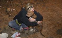 
                    
                        Pit Bull Kidnapped In 2013 Miraculously Comes Home ​—​ With 10 Puppies
                    
                