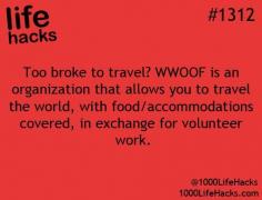 
                    
                        WWOOF: Volunteer work on organic and/or self sustaining farms in trade for meals, room board. I knew this!!
                    
                