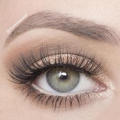 
                    
                        Urban Decay NAKED palette look
                    
                