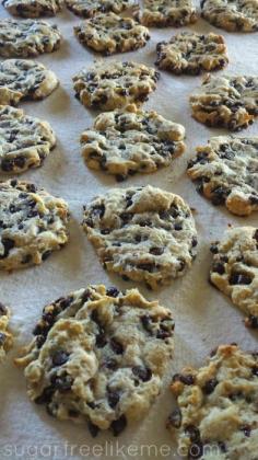 
                    
                        Sugar Free Low Carb Chocolate Chip Cookies
                    
                