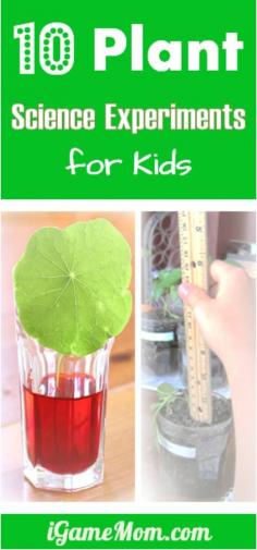 
                    
                        10 plant science experiments for kids - great for outdoor gardening or kitchen science activities, and fun spring and summer science projects for kids. They are also good for school science fair projects, from preschool to grade 5
                    
                