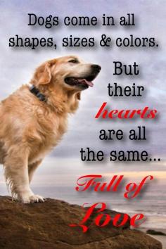 So true.. Love my puppys