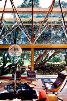 
                    
                        Midcentury sunroom with dark wood and black colors
                    
                